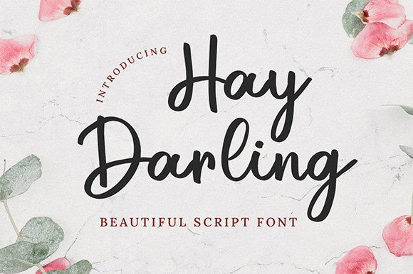 Hay Darling: A Charming Script Font for Editorial Design