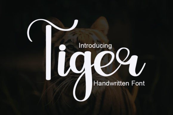 Tiger: A Premium Handwritten Font for Eye-Catching Designs