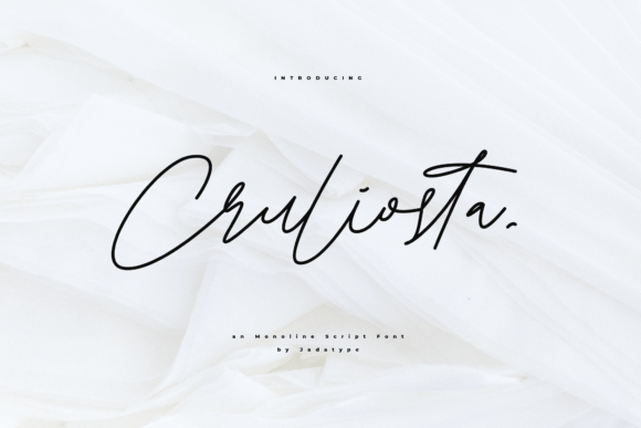 Transform Your Brand with Cruliosta: A Stylish Script Font